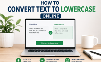 How to Convert Text to Lowercase Online
