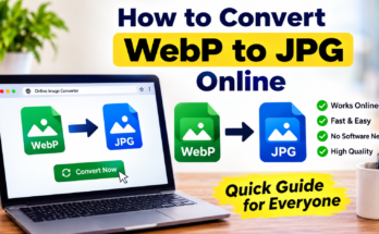 How to Convert WebP to JPG Online